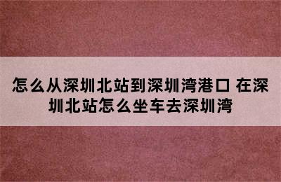 怎么从深圳北站到深圳湾港口 在深圳北站怎么坐车去深圳湾